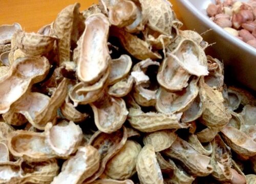 花生壳养护兰花靠不靠谱？养护方法？