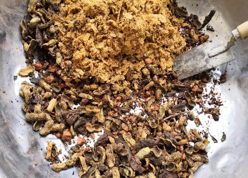 花生壳养护兰花靠不靠谱？养护方法？