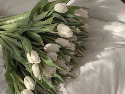 摩羯男最不允许女人行为表现