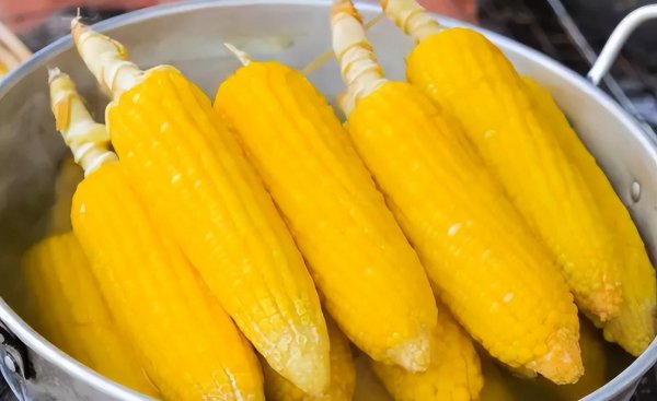 鲜玉米直接冷冻还是煮熟冷冻