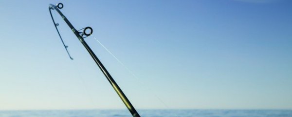 鱼竿什么材质好