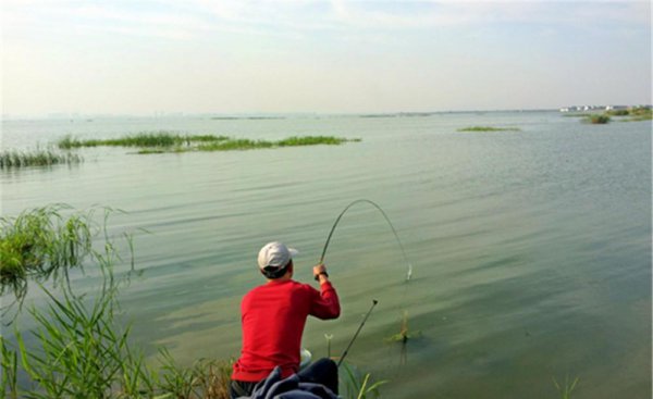 钓鱼什么时候最好钓