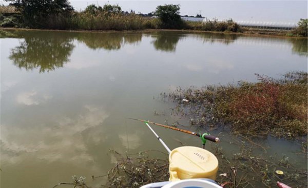 钓鱼什么时候最好钓