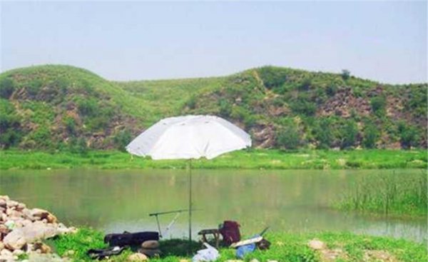 钓鱼什么时候最好钓