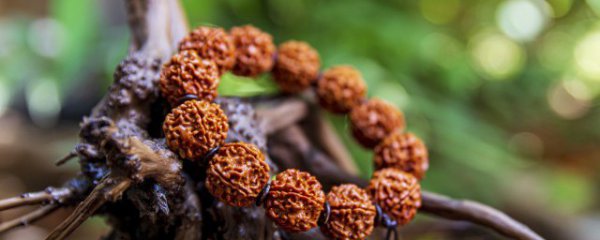 老树根手串保养方法