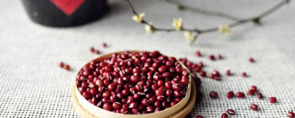 怎样挑选新鲜优质红豆