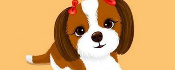 属狗的佩戴什么生肖好