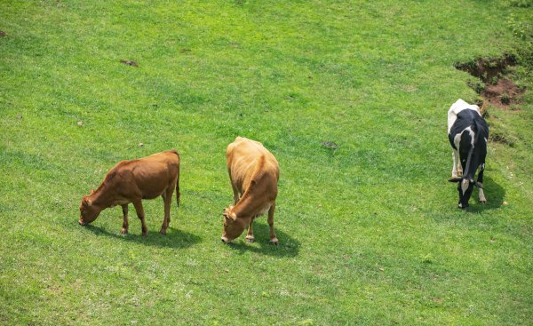 中国最适合居住的地方
