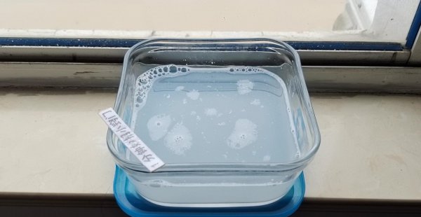 自制驱蚊子最有效的方法