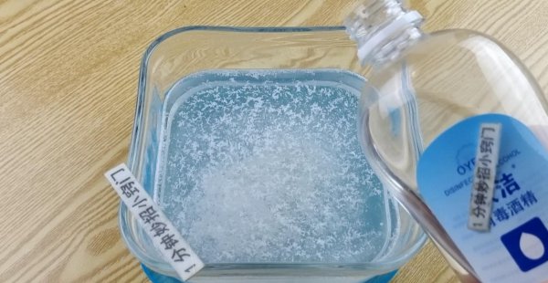 自制驱蚊子最有效的方法