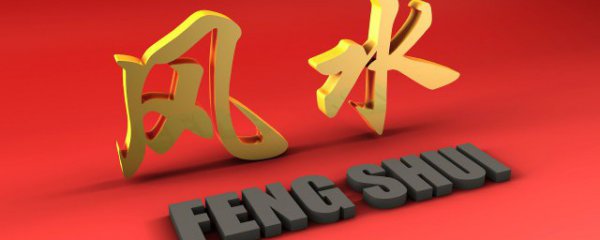 做生意的门前栽什么树进财