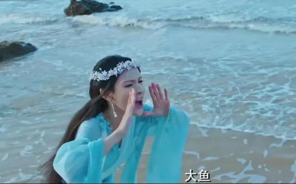 海大鱼剧情详细介绍