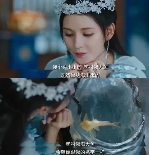 海大鱼剧情详细介绍