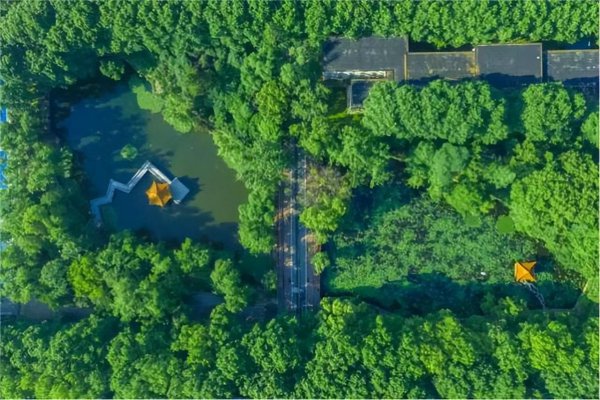 华中科技大学分数线2022