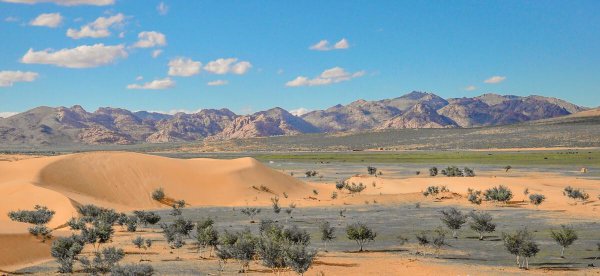 蒙古国是哪个国家