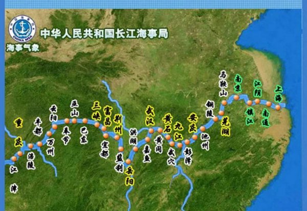 巴西红耳龟寿命最长多少年