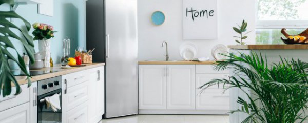 冰冻兔腿解冻要多久