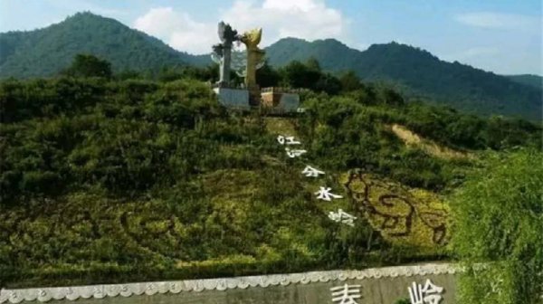 世界上最大的蛇图片