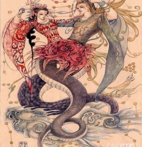 世界上最大的蛇图片