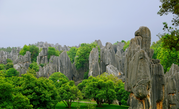 八十岁老人可以去哪里旅游