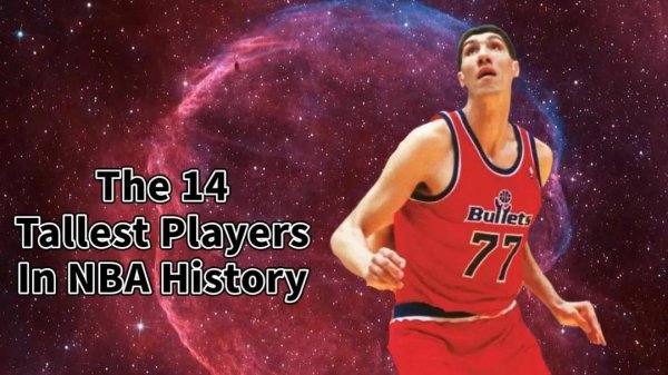 nba最高球员有多高