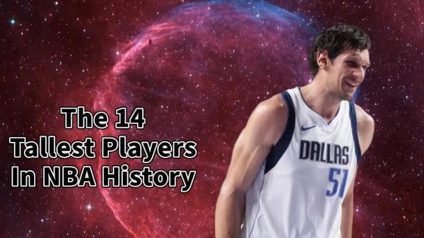 nba最高球员有多高