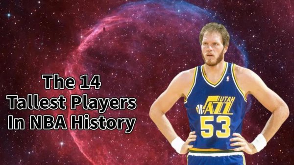 nba最高球员有多高