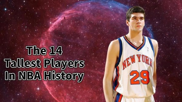 nba最高球员有多高
