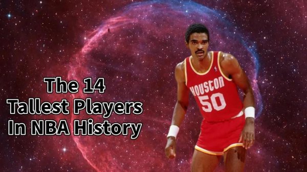 nba最高球员有多高
