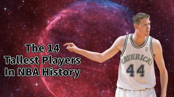 nba最高球员有多高