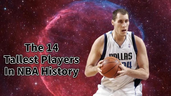 nba最高球员有多高