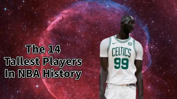 nba最高球员有多高