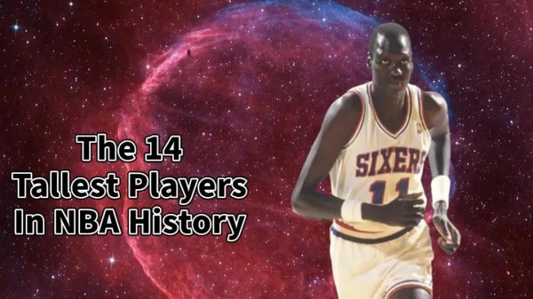 nba最高球员有多高