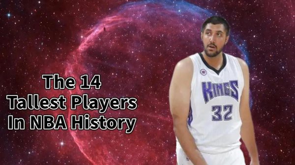 nba最高球员有多高