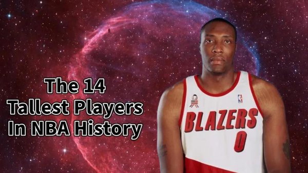 nba最高球员有多高