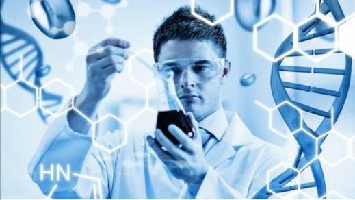 海拉细胞是什么