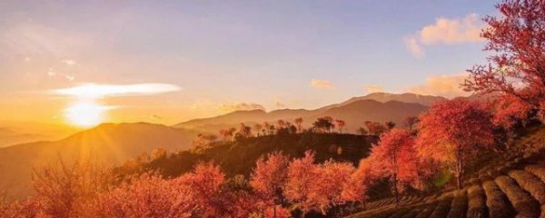 12月底适合去哪里旅游