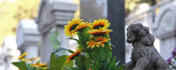 清明去烈士陵园扫墓需要做什么