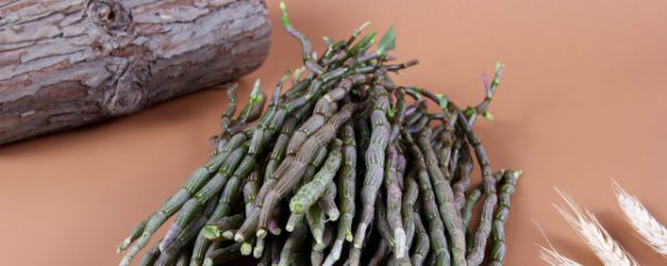 新鲜石斛煲汤夏季可以吗