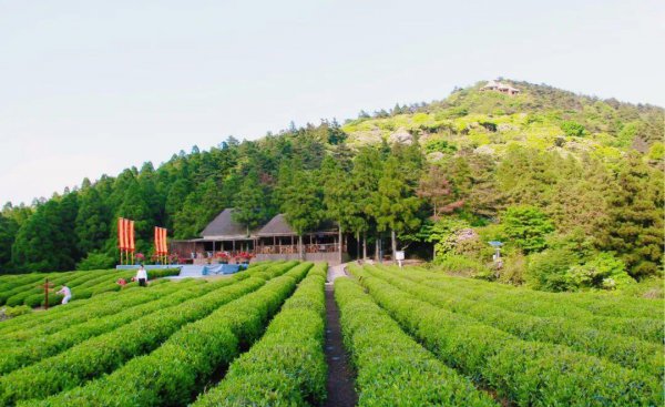 台州特产有哪些土特产