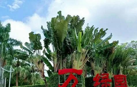 海口旅游景点攻略推荐