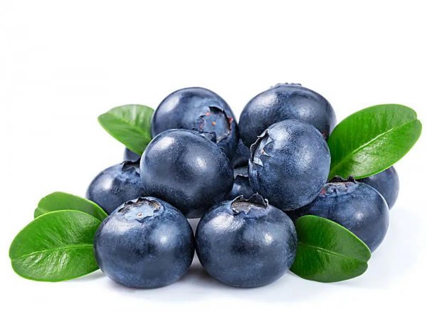 蓝莓产地主要在哪个省