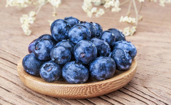 蓝莓产地主要在哪个省