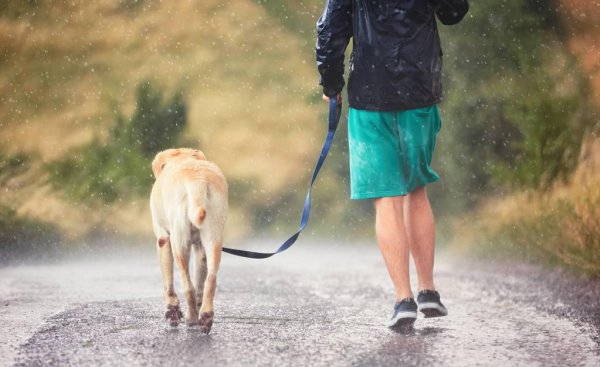 衣服淋雨需要重洗么
