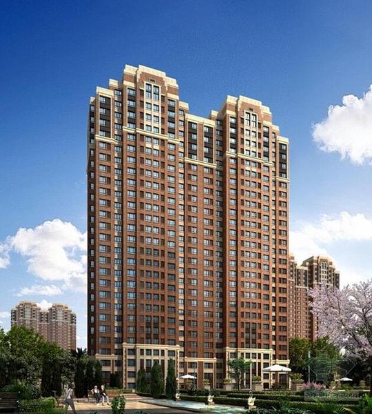 板楼是什么意思