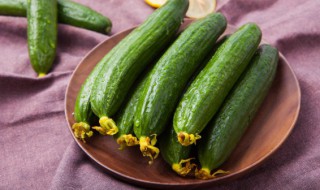 凉拌黄瓜盖上保鲜膜可以隔夜吃吗 凉拌黄瓜盖上保鲜膜能不能隔夜吃呢