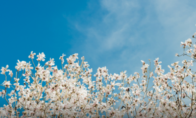 中国最好的政法大学有哪些 全国政法类大学排名前十强