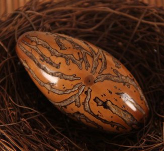 千眼菩提子怎么盘玩变色快 盘好包浆的千眼菩提样子