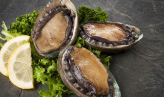 鲍鱼的储存方法 新鲜鲍鱼能保留多久