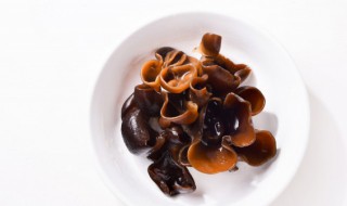 毛木耳产地介绍 毛木耳的简介